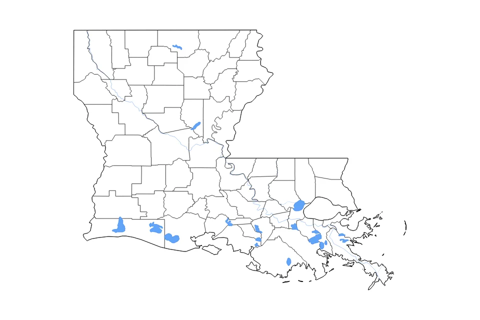 Carte de Louisiana de type contour, subdivisions, lacs et rivières pour Amérique du Nord, montrant contour, subdivisions, lacs et rivières avec des éléments hydrographiques comme Calcasieu Lake, White Lake, et Lake Maurepas.