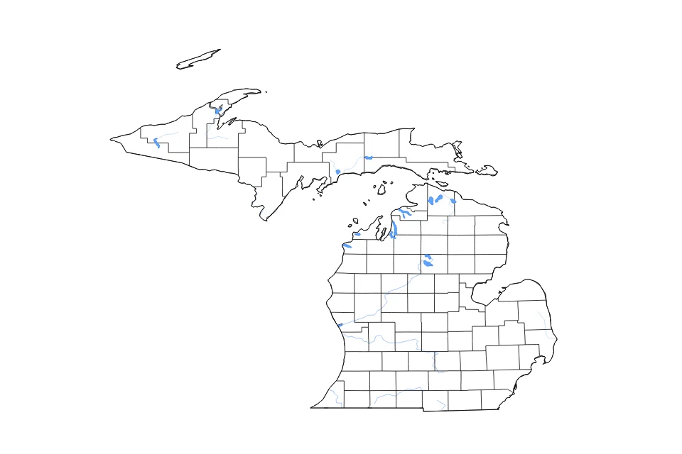 Carte de Michigan de type contour, subdivisions, lacs et rivières pour Amérique du Nord, montrant contour, subdivisions, lacs et rivières avec des éléments hydrographiques comme Houghton Lake, Torch Lake, et Burt Lake.