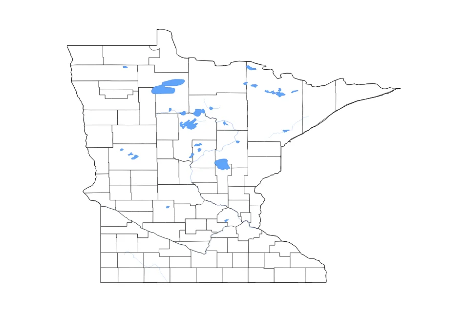 Mapa de Minnesota de tipo contorno, subdivisiones, lagos y ríos para América del Norte, con contorno, subdivisiones, lagos y ríos con elementos de agua como Upper Red Lake, Lower Red Lake, Mille Lacs Lake, y Leech Lake.