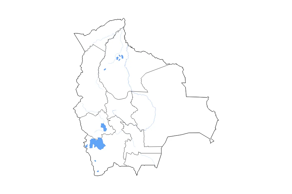 Carte de Bolivia de type contour, subdivisions, lacs et rivières pour Amérique du Sud, montrant contour, subdivisions, lacs et rivières avec des éléments hydrographiques comme Salar de Uyuni, Lago Poopó, et Salar de Empexa.