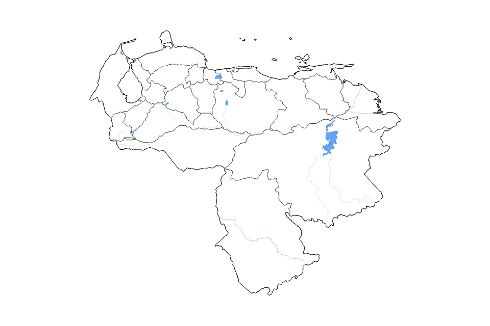 Carte de Venezuela de type contour, subdivisions, lacs et rivières pour Amérique du Sud, montrant contour, subdivisions, lacs et rivières avec des éléments hydrographiques comme Embalse de Guri, Lago de Valencia, et Embalse de Caruachi.
