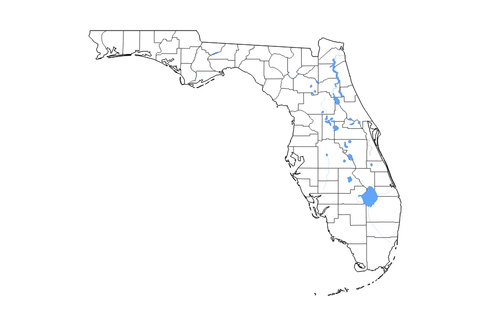 Mapa de Florida de tipo contorno, subdivisiones, lagos y ríos para América del Norte, con contorno, subdivisiones, lagos y ríos con elementos de agua como Lake Okeechobee, St. John River, y Lake George.