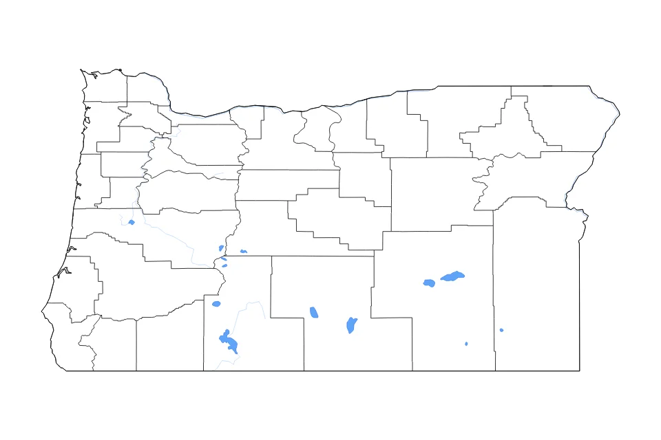 Carte de Oregon de type contour, subdivisions, lacs et rivières pour Amérique du Nord, montrant contour, subdivisions, lacs et rivières avec des éléments hydrographiques comme Upper Klamath Lake, Malheur Lake, et Lake Abert.