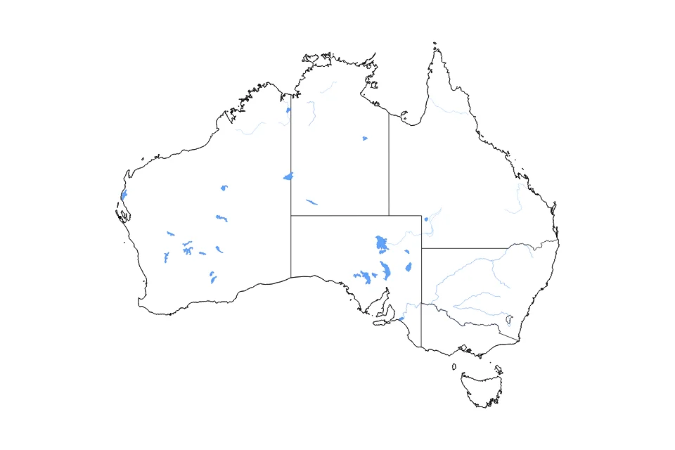 Carte de Australia de type contour, subdivisions, lacs et rivières pour Océanie, montrant contour, subdivisions, lacs et rivières avec des éléments hydrographiques comme Lake Eyre North, Lake Torrens, et Lake Gairdner.