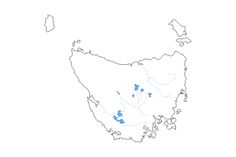 Mapa de Tasmania de tipo contorno, lagos y ríos para Oceanía, con contorno, lagos y ríos con elementos de agua como Lake Pedder, Lake Gordon, y Great Lake.