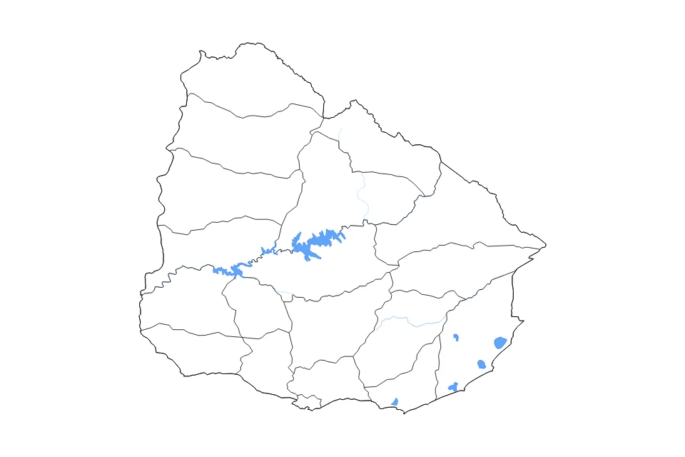 Mapa de Uruguay de tipo contorno, subdivisiones, lagos y ríos para América del Sur, con contorno, subdivisiones, lagos y ríos con elementos de agua como Lago de Rincón del Bonete, Embalse de Paso del Palmar, y Laguna Negra.