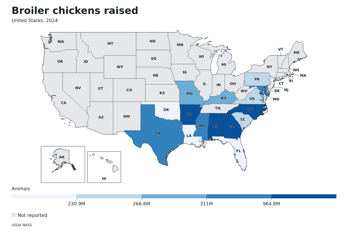 Pollos de engorde criados por estado en Estados Unidos, 2024. Unidad: pollos de engorde. Fuente: USDA National Agricultural Statistics Service (NASS).