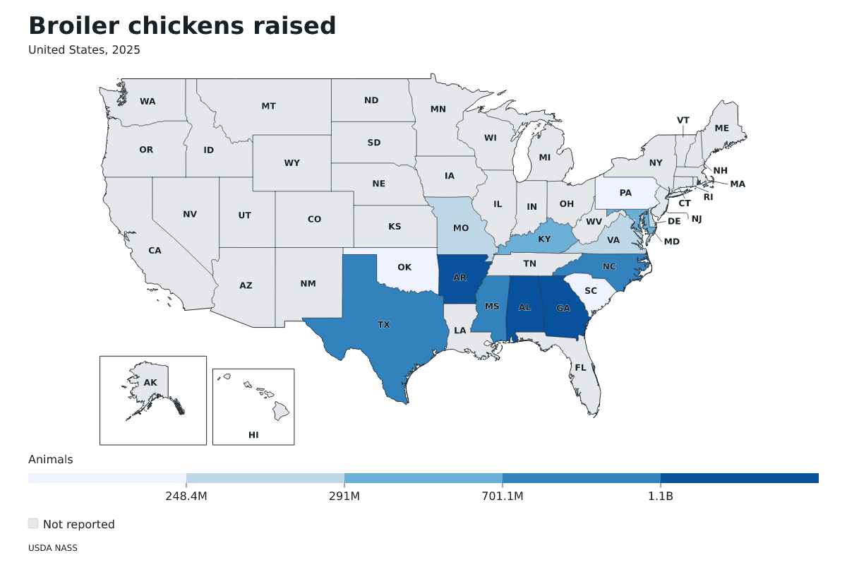 Pollos de engorde criados por estado en Estados Unidos, 2025. Unidad: pollos de engorde. Fuente: USDA National Agricultural Statistics Service (NASS).