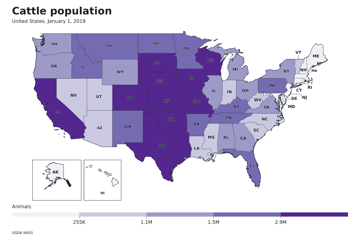 Data map of United States · Cattle population · January 1, 2019 with internal administrative boundaries.