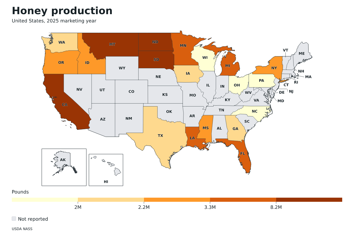 Producción de miel por estado en Estados Unidos, Año comercial 2025. Unidad: libras de miel. Fuente: USDA National Agricultural Statistics Service (NASS).