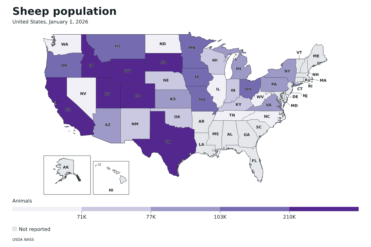 Población de ovinos por estado en Estados Unidos, 1 de enero de 2026. Unidad: ovejas y corderos. Fuente: USDA National Agricultural Statistics Service (NASS).
