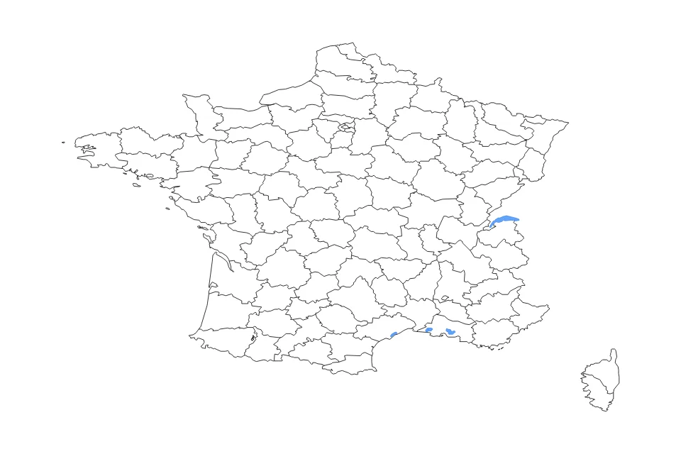 Carte de France de type contour, subdivisions et lacs pour Europe, montrant contour, subdivisions et lacs avec 4 lacs principaux.