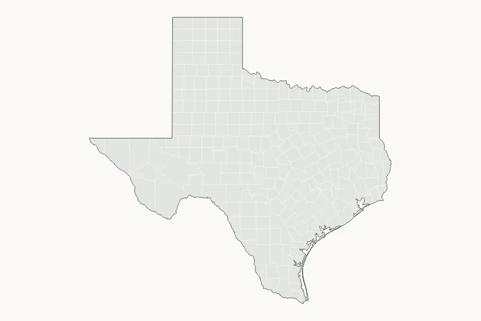 Texas, United States subdivisions map for North America, showing subdivisions coverage with water features including Sam Rayburn Reservoir, Lake Livingston, and Toledo Bend Reservoir.