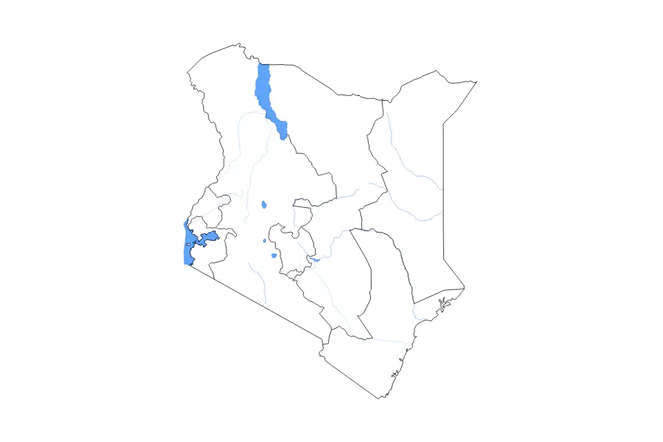 Vista previa del mapa de contorno de Kenya
