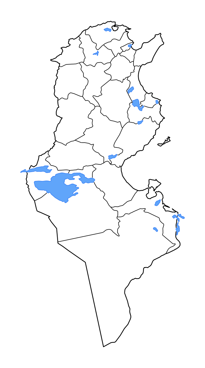 Mapa de contorno de Tunisia con límites administrativos internos, lagos y ríos.