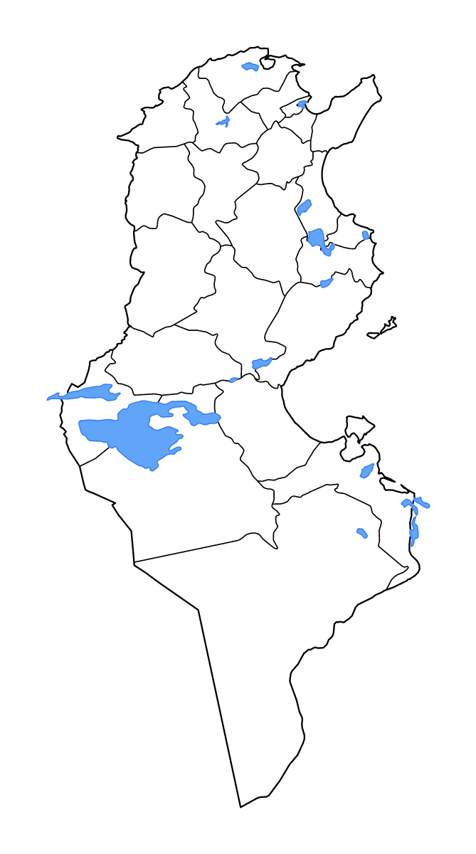 Mapa de contorno de Tunisia con límites administrativos internos, lagos y ríos.