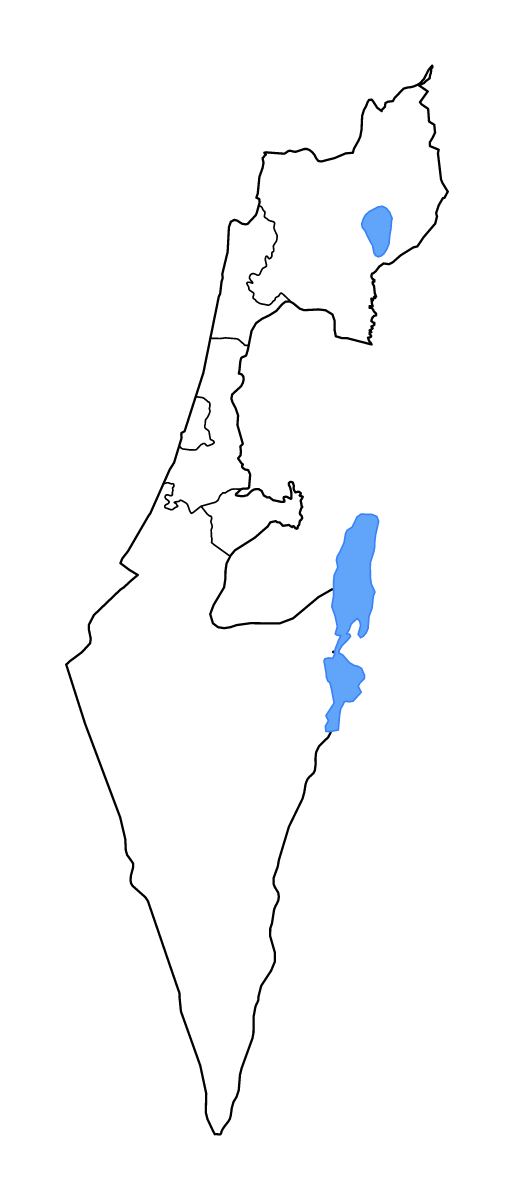 Mapa de contorno de Israel con límites administrativos internos, lagos y ríos.