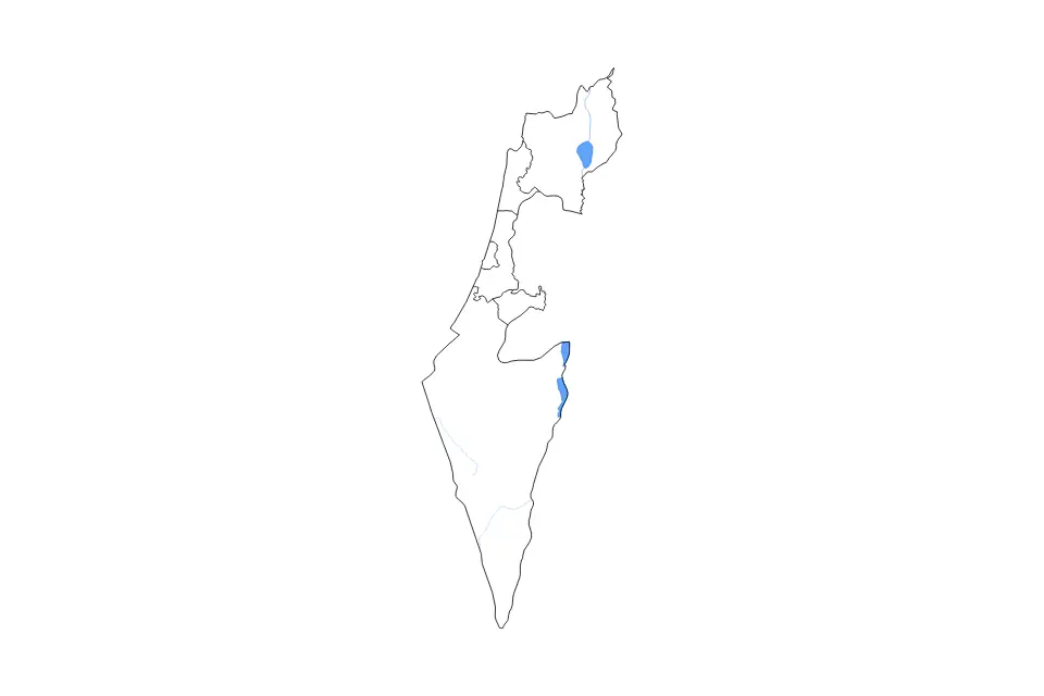 Vista previa del mapa de contorno de Israel