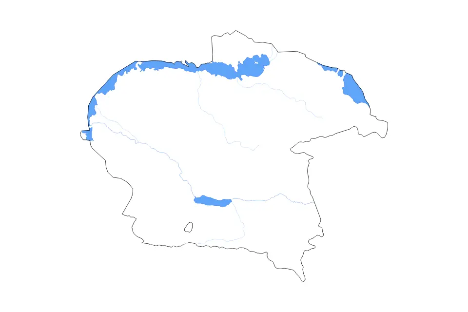 Vista previa del mapa de contorno de Almaty