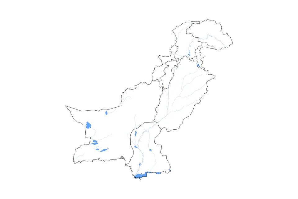 Vista previa del mapa de contorno de Pakistan