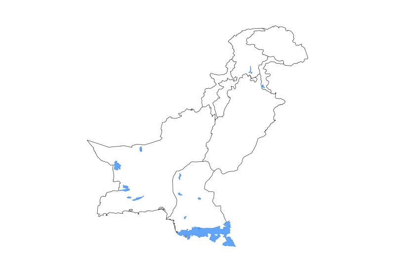 Carte de contour de Pakistan avec limites administratives internes, lacs et rivières.