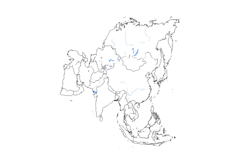 Vista previa del mapa de contorno de Asia