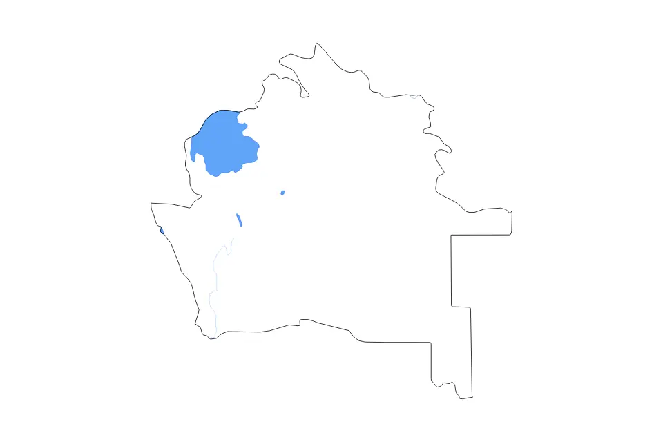 Carte de Daşoguz, Turkmenistan de type contour, lacs et rivières pour Asie, montrant contour, lacs et rivières avec des éléments hydrographiques comme Sarygamyş Köli et Solonchak Goklenkum.