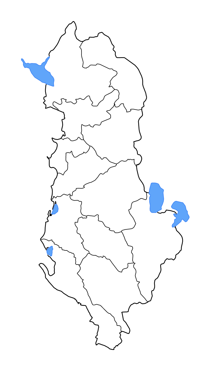 Mapa de contorno de Albania con límites administrativos internos, lagos y ríos.