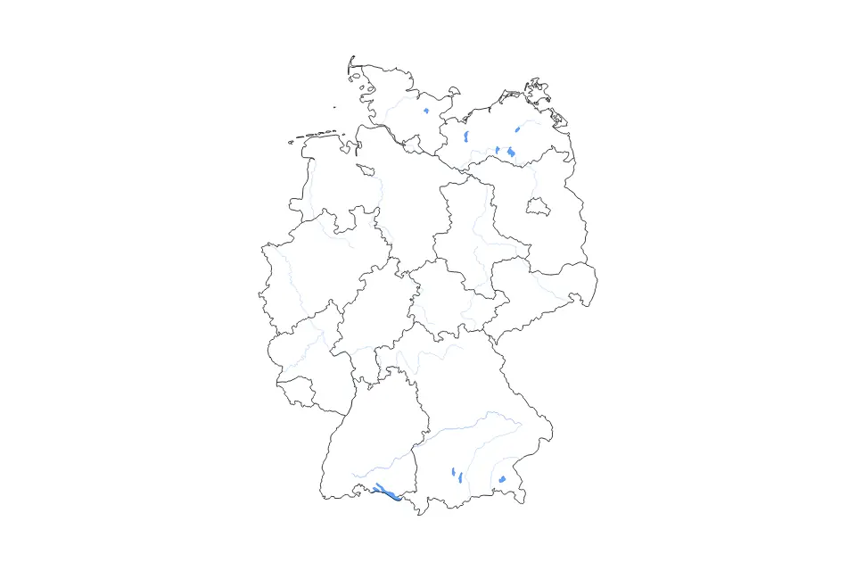 Germany outline map preview