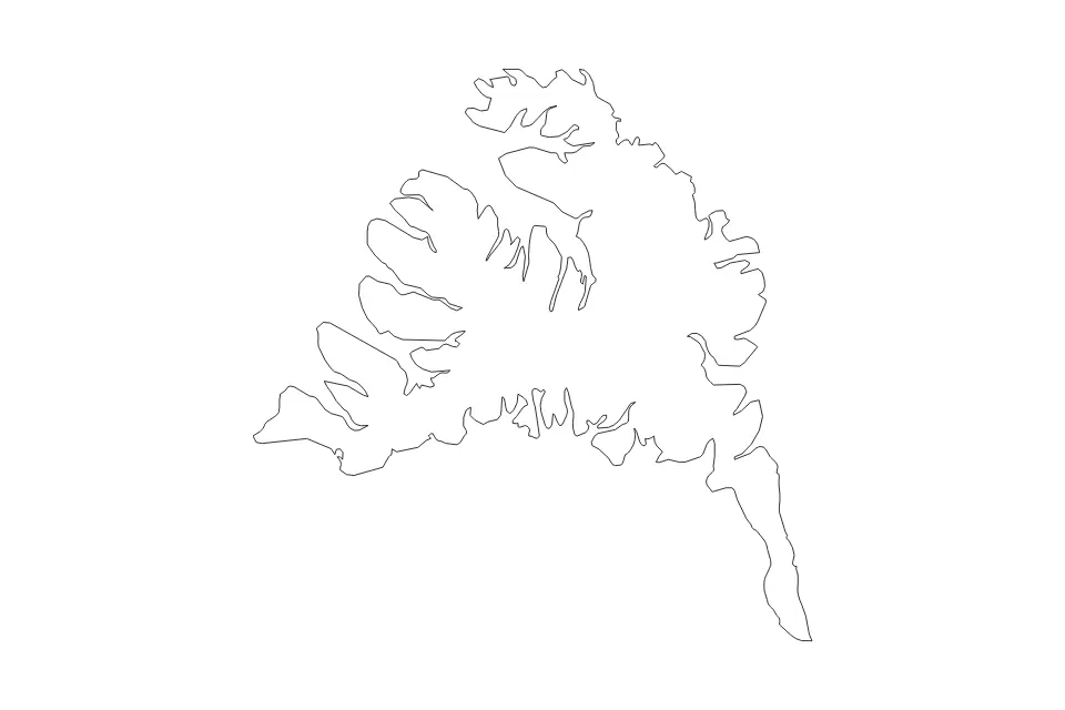 Outline map of Westfjords, Iceland with subdivision borders.