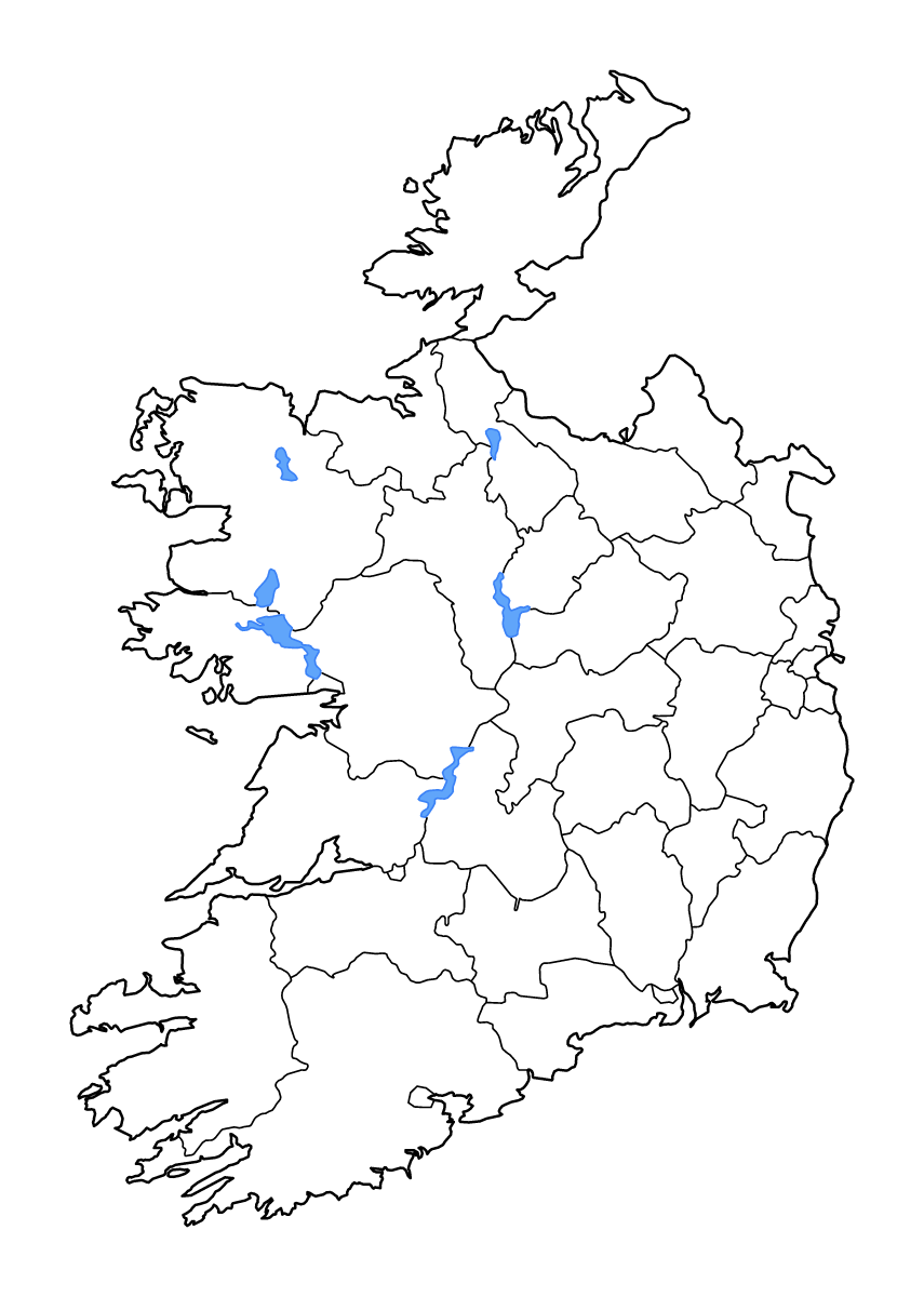Mapa de contorno de Ireland con límites administrativos internos, lagos y ríos.