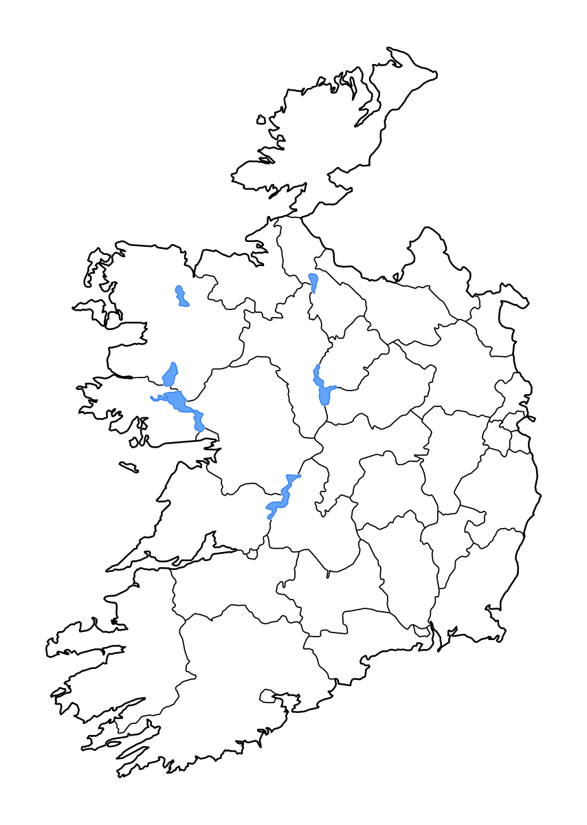 Mapa de contorno de Ireland con límites administrativos internos, lagos y ríos.