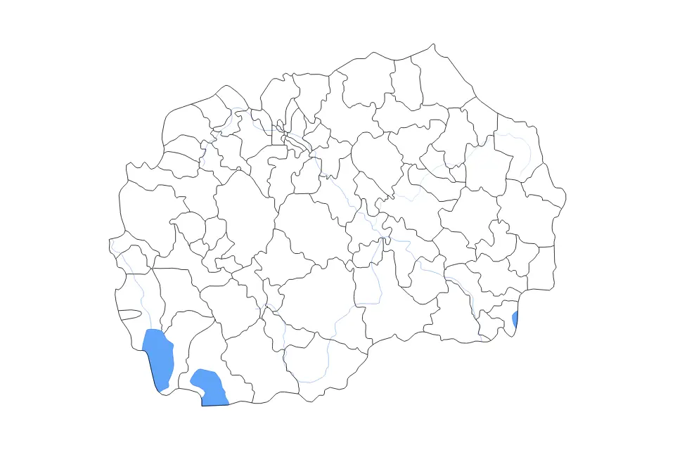 Vista previa del mapa de contorno de Macedonia del Norte