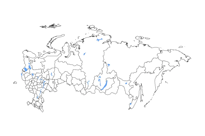 Mapa de contorno de Russian Federation con límites administrativos internos, lagos y ríos.