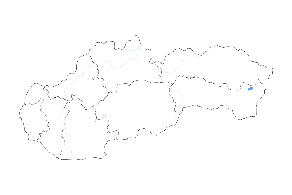 Vista previa del mapa de contorno de Slovakia