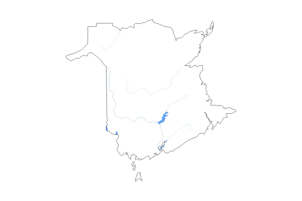Outline map of New Brunswick, Canada with subdivision borders and major lakes and rivers.