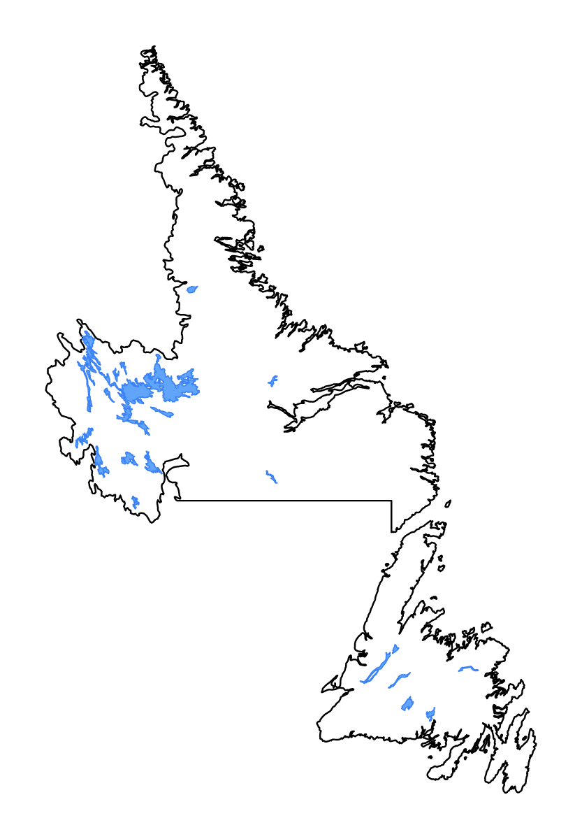 Mapa de contorno de Newfoundland and Labrador, Canada con lagos y ríos.