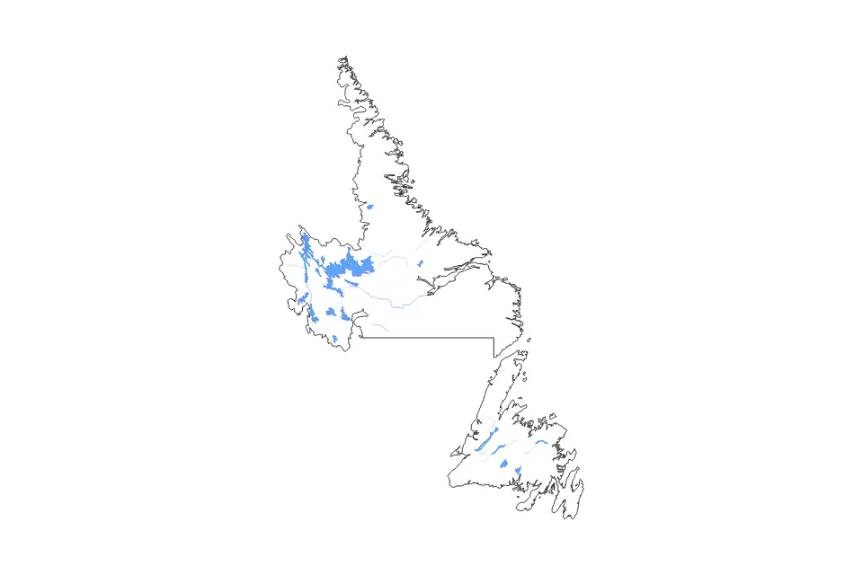 Outline map of Newfoundland and Labrador, Canada with subdivision borders and major lakes and rivers.