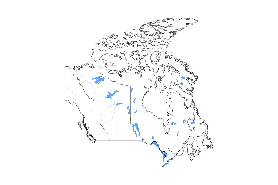 Canada outline map preview