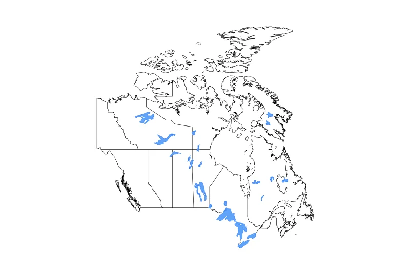 Mapa de contorno de Canada con límites administrativos internos, lagos y ríos.