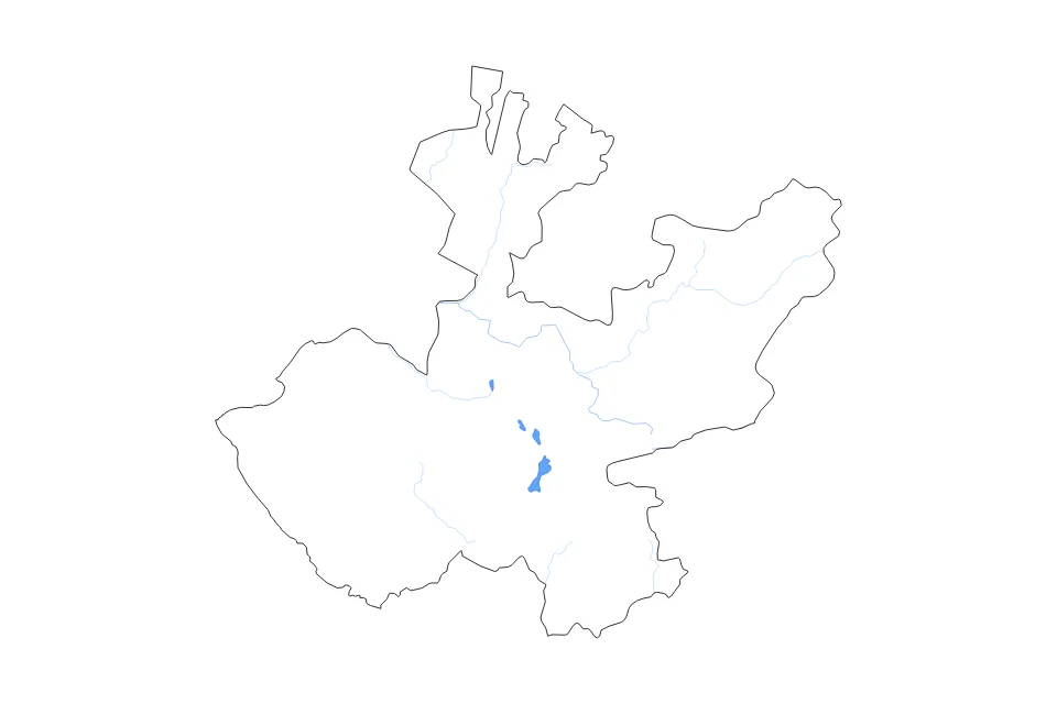 Aperçu de la carte de contour de Jalisco