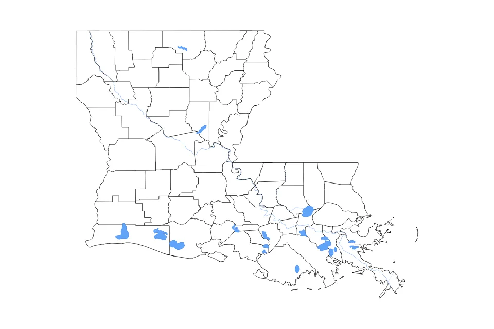 Vista previa del mapa de contorno de Louisiana