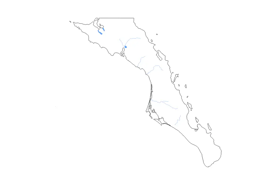 Baja California Sur outline map preview