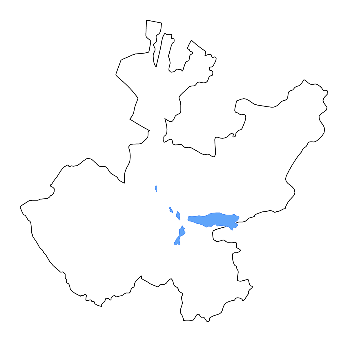 Carte de contour de Jalisco, Mexico avec lacs et rivières.