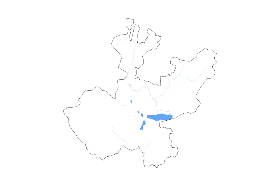 Outline map of Jalisco, Mexico with subdivision borders and major lakes and rivers.