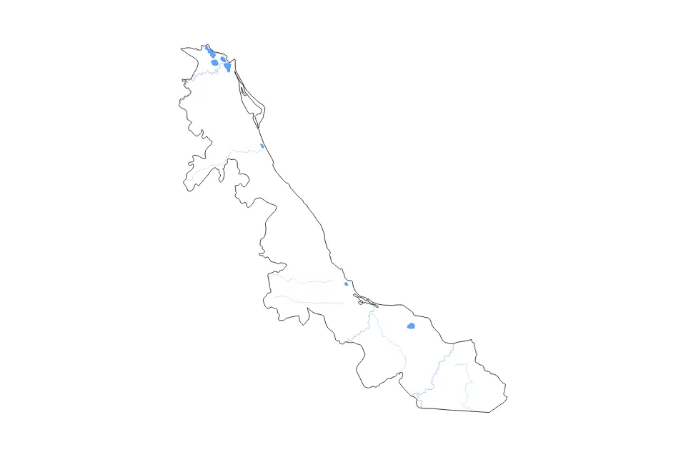 Outline map of Veracruz, Mexico with subdivision borders and major lakes and rivers.