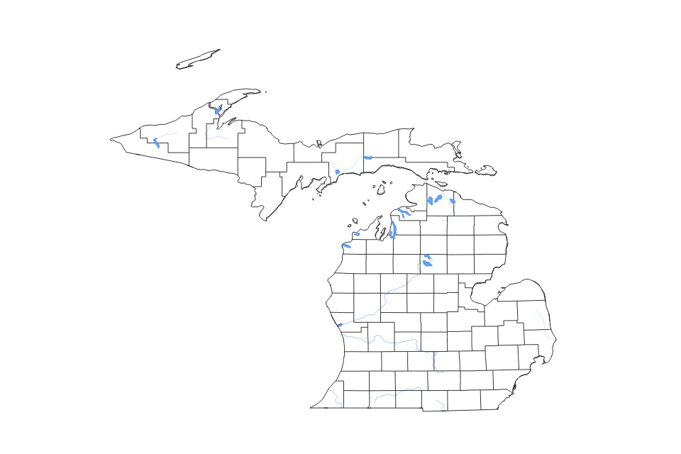 Vista previa del mapa de contorno de Michigan