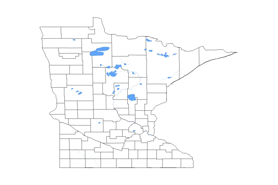 Vista previa del mapa de contorno de Minnesota