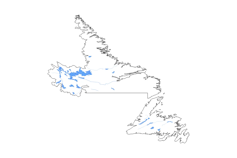 Vista previa del mapa de contorno de Newfoundland And Labrador