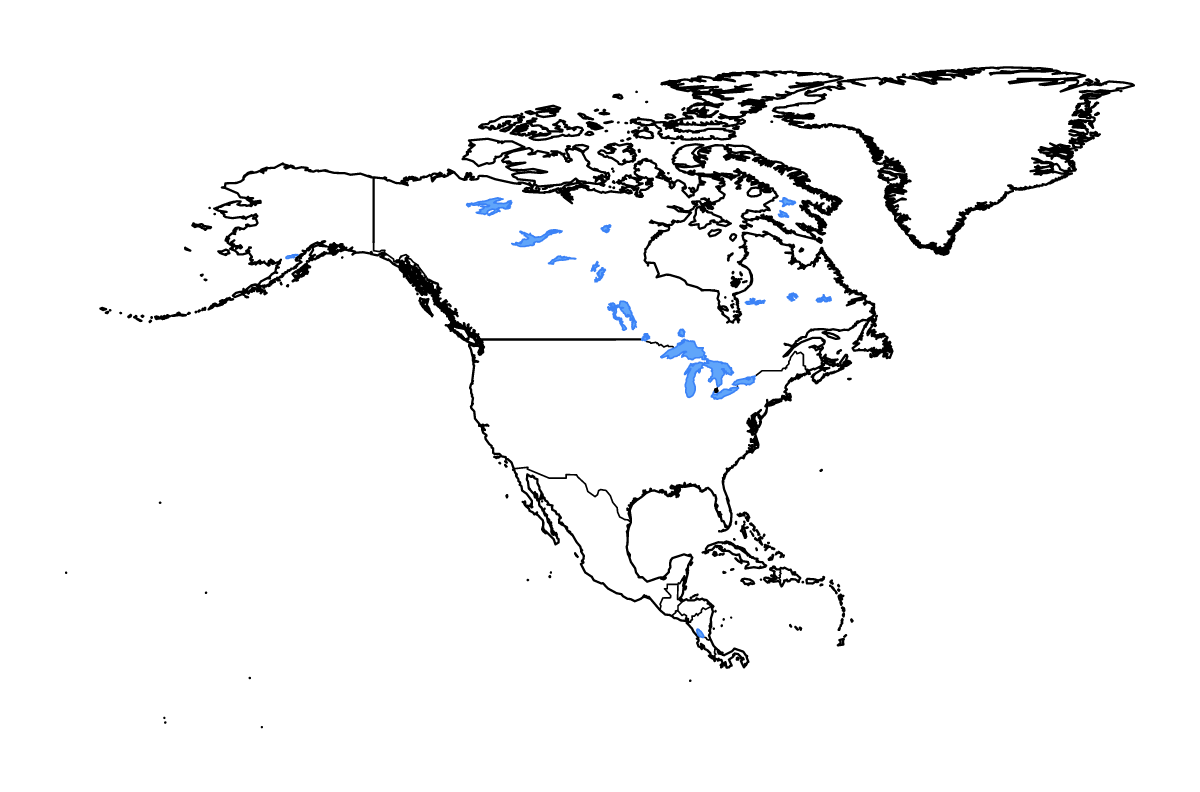 Outline map of North America with internal administrative boundaries, lakes, and rivers.